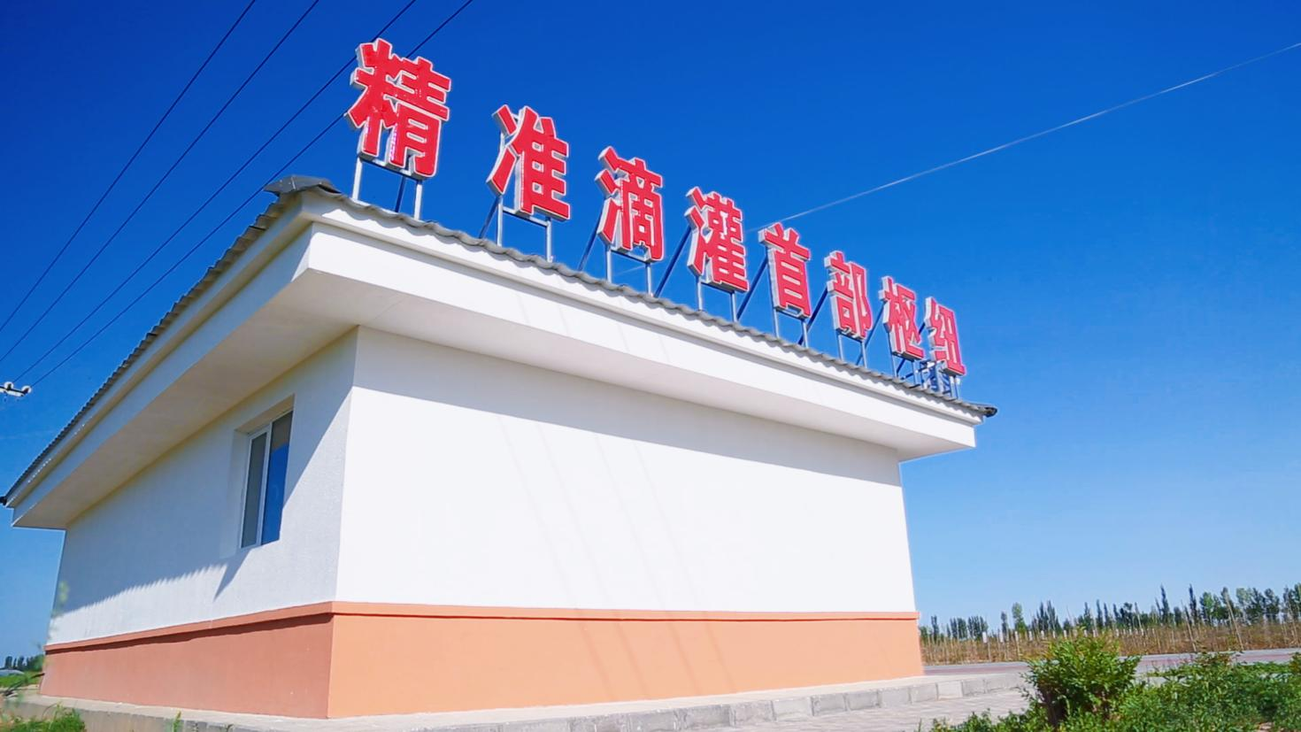 六个行动·节水行动 | 五原县：打出“节水组合拳”绘就绿色农业新画卷相关图片