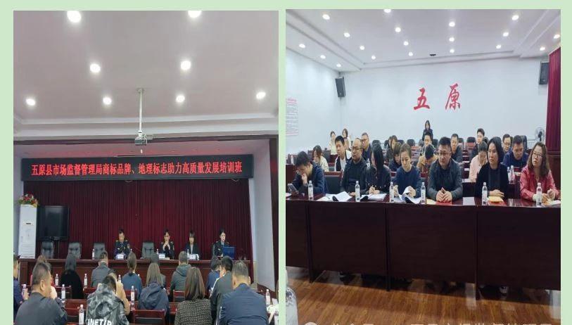 1730771916273068137.jpg 216c3043d55df184652a486e7077aab6.jpg