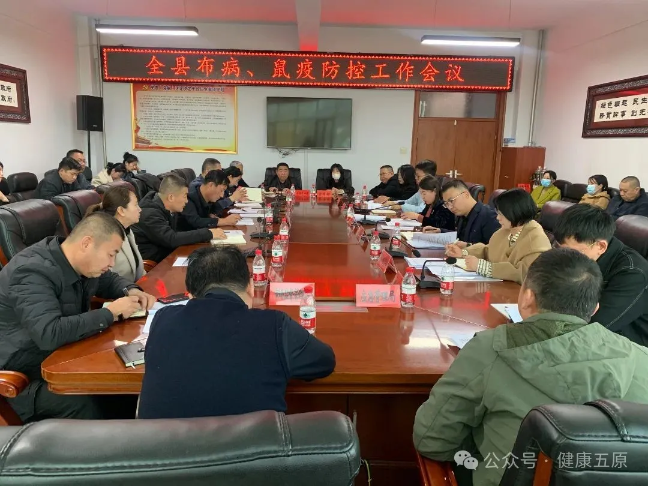 1741922303900017329.png auto