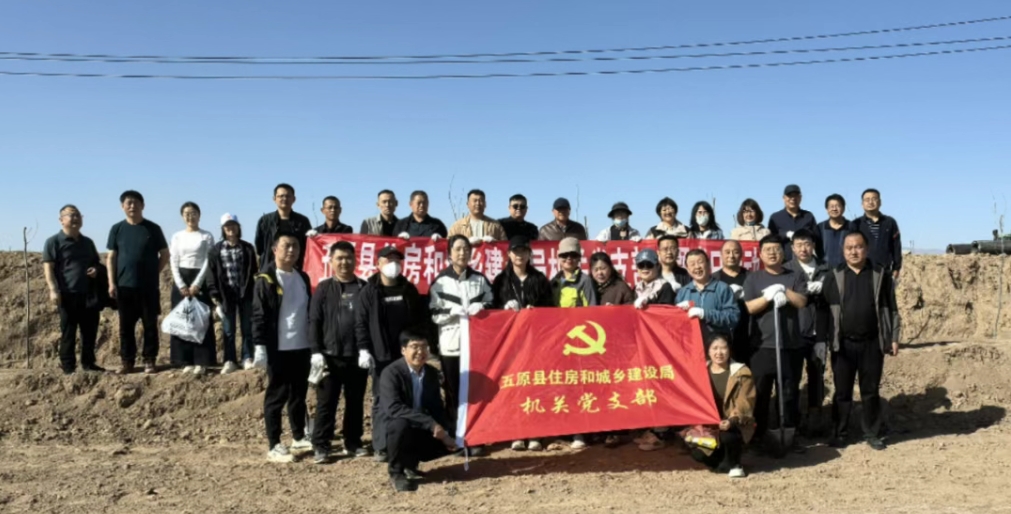 1744790925713027664.png auto