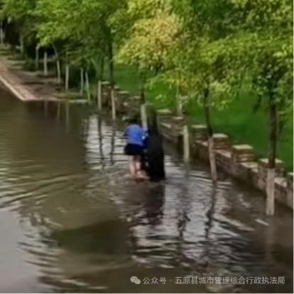 1754272663373065500.png image.png