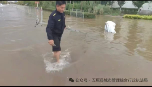 1754272693114034956.png image.png