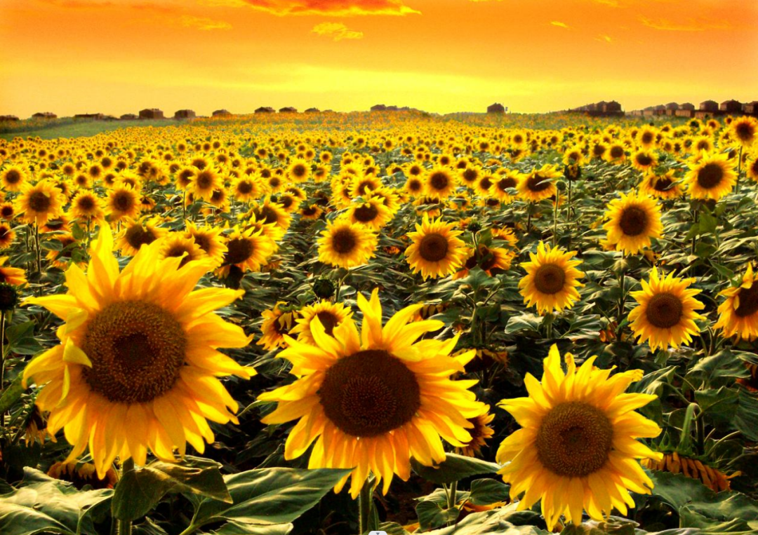 微信图片_20251127162608.png 微信图片_20251127162608.png