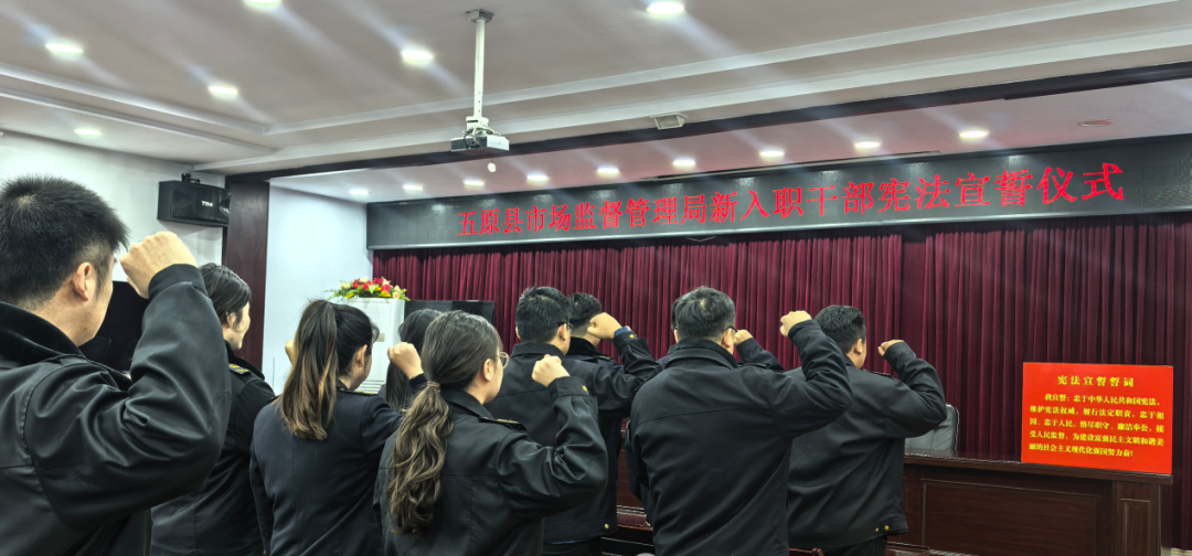 1765164914338083003.png auto