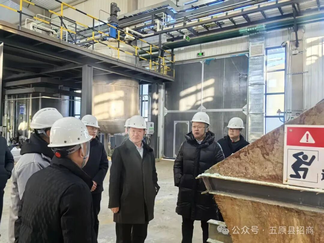 1768206894597015901.jpg auto