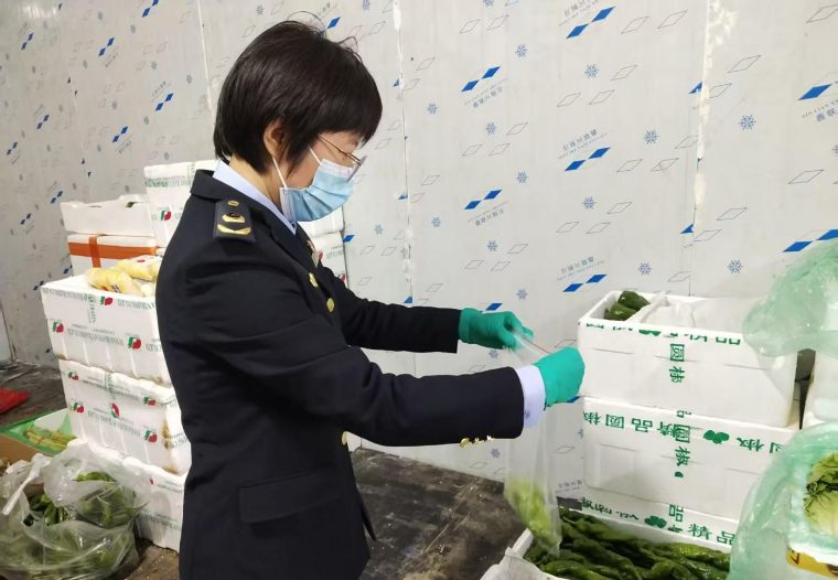 1774597171621054493.png 91c222a8d3424eb39f354fc8ba20d3c8.png